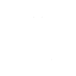 rfg54
